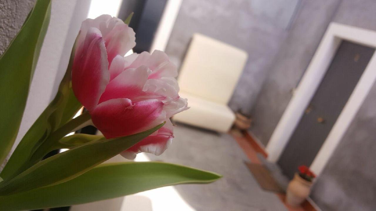 I Cappuccini Rooms CTA Exterior foto
